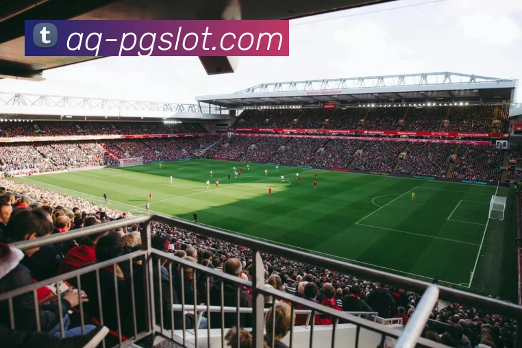 PG麻将胡了官网APP 体育赛事宣传图